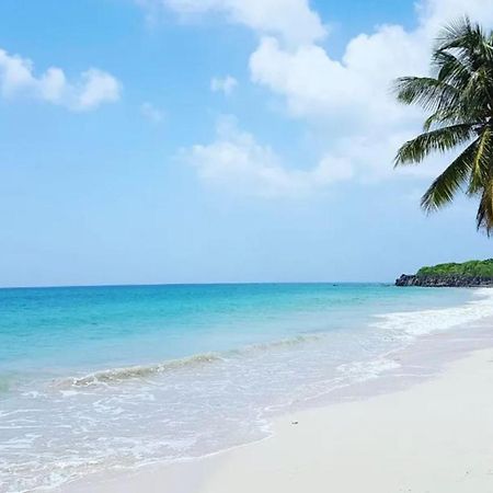 - Les Pieds Dans L'Eau A 50M De La Plage, Cote Mer Caraibe - Domaine De L'Anse Caritan - Sainte-Anne - Екстер'єр фото