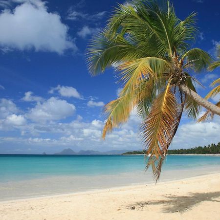 - Les Pieds Dans L'Eau A 50M De La Plage, Cote Mer Caraibe - Domaine De L'Anse Caritan - Sainte-Anne - Екстер'єр фото