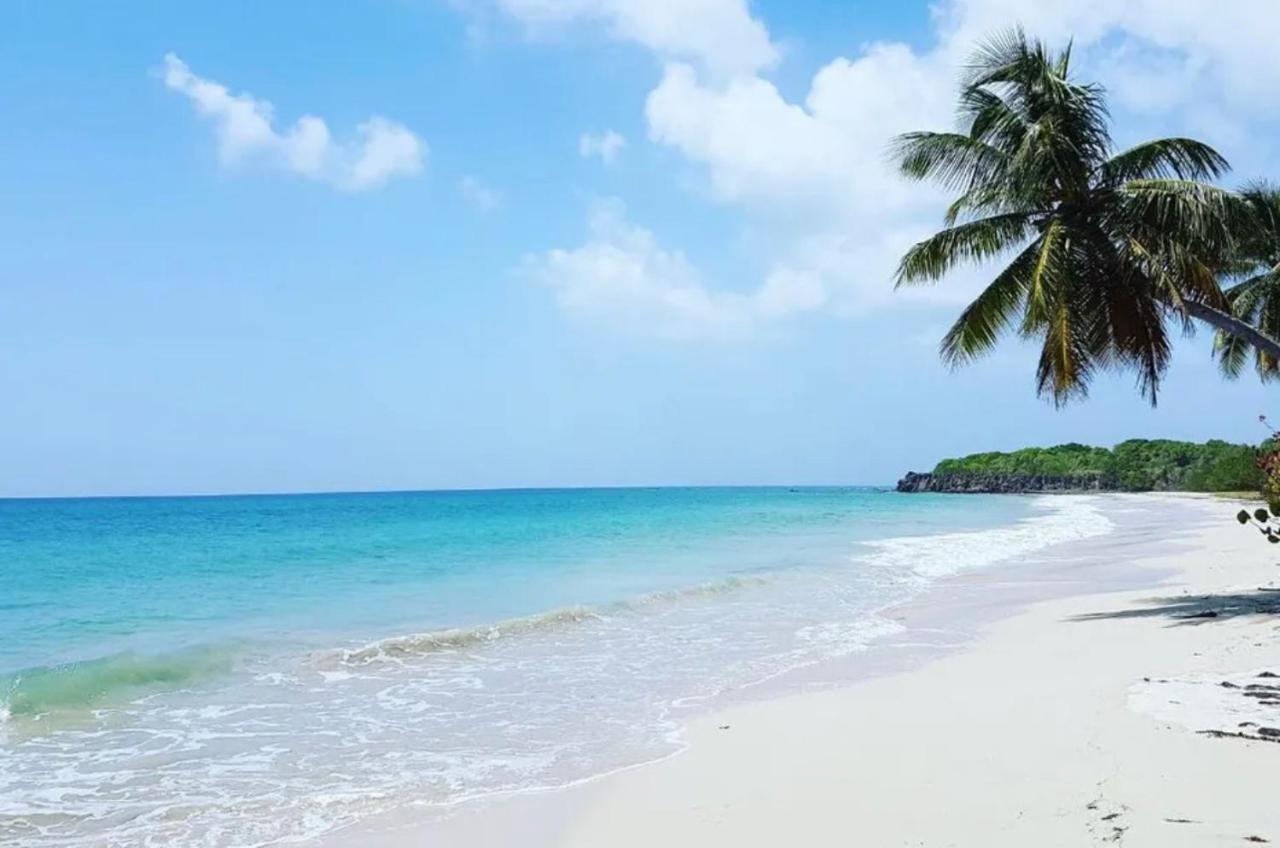 - Les Pieds Dans L'Eau A 50M De La Plage, Cote Mer Caraibe - Domaine De L'Anse Caritan - Sainte-Anne - Екстер'єр фото