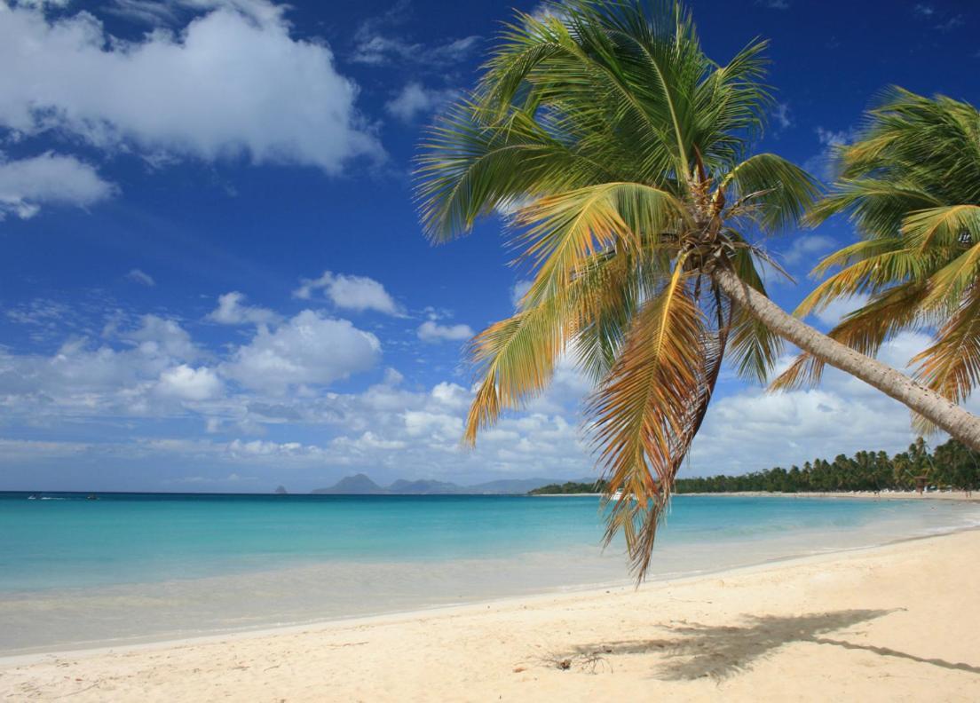 - Les Pieds Dans L'Eau A 50M De La Plage, Cote Mer Caraibe - Domaine De L'Anse Caritan - Sainte-Anne - Екстер'єр фото